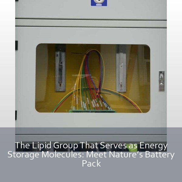 The Lipid Group That Serves as Energy Storage Molecules: Meet Nature’s Battery Pack